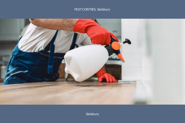 PEST CONTROL Salisbury